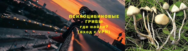 спиды Касимов