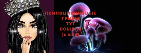 спиды Касимов