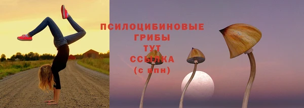 мефедрон мука Карпинск