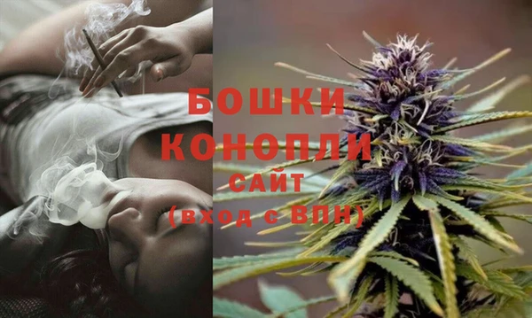 спиды Касимов