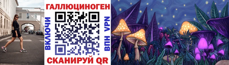 Псилоцибиновые грибы прущие грибы  Купить  Кедровый 
